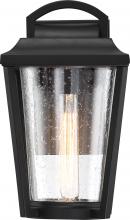 Nuvo 60/6511 - Lakeview - 1 Light Medium Wall Lantern with Clear Seed Glass - Aged Bronze Finish