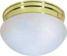 Nuvo SF76/675 - 2 Light - 10" Flush with Alabaster Glass - Polished Brass Finish