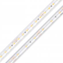 Diode Led DI-24V-BLBSC2-50-W016 - STRIP/TAPE LIGHT