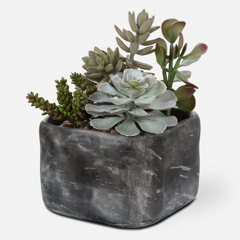 Uttermost Alverio Desert Garden Succulents