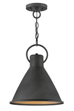 Hinkley 3557DZ - Small Pendant